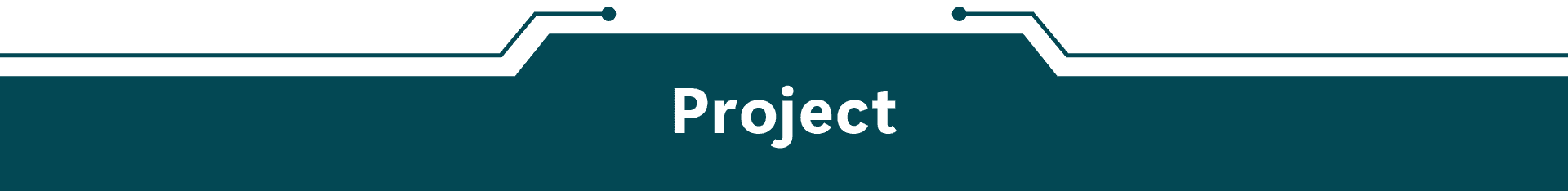 Project Banner